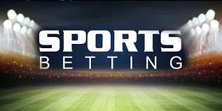 The Top Online Sports Betting Platforms 13 The Top Online Sports Betting Platforms 13